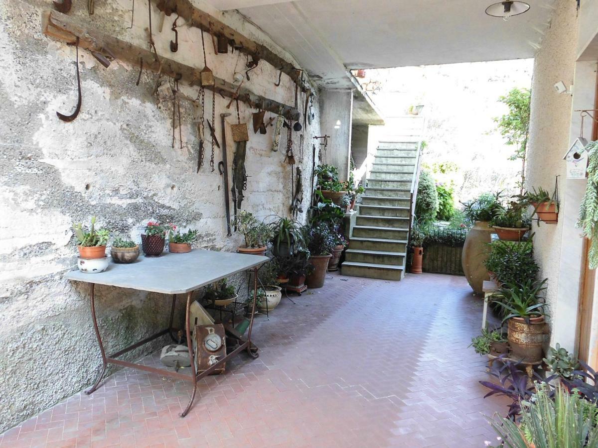 La Margherita Di Teriasca المظهر الخارجي الصورة